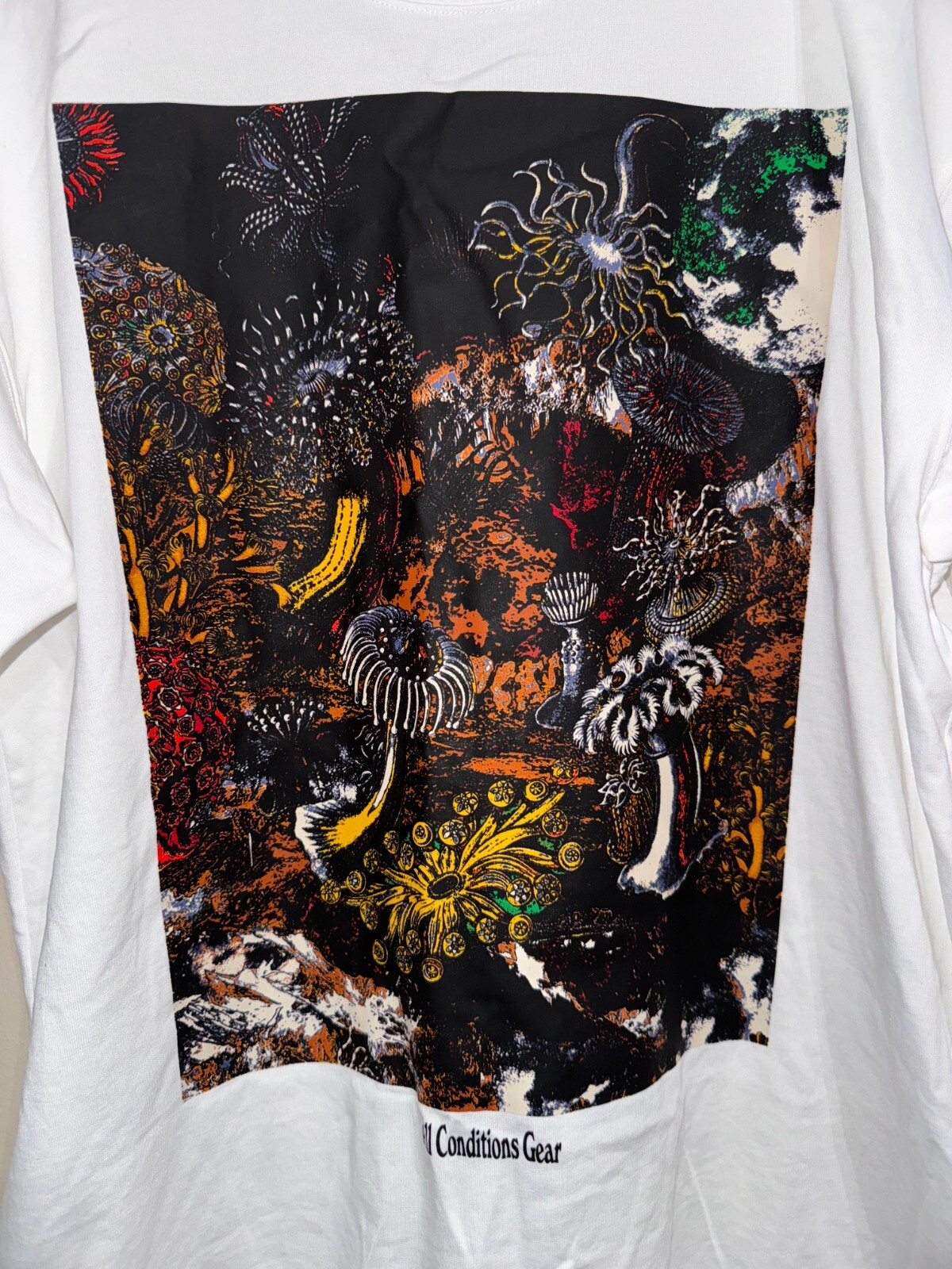Nike ACG Dri-FIT Tidal Pool All Conditions Gear Graphic Shirt Mens M DX9448-100 gallery