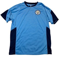 Icon Sports Manchester City Soccer Jersey Mens Large Blue Sporty Gorpcore Tee