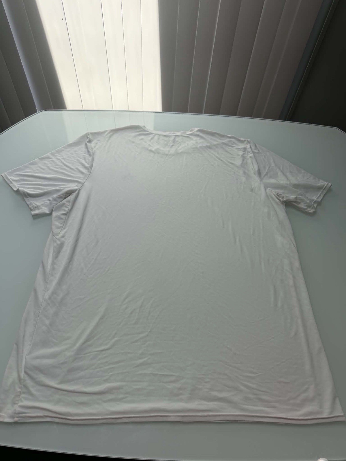 Patagonia Mens Oversized XL (fit HUGE 3XL) Capilene Cool Daily Performance Tee gallery