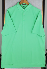PETER MILLAR Mens Size Large SUMMER COMFORT Polo Shirt Light Green Performance