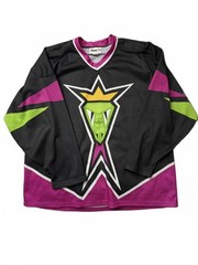 Vintage Revi Jacksonville Lizard Kings ECHL hockey jersey – Size Large
