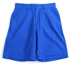 Under Armour UA Golf Blue Thin Stripes Flat Front Golf Shorts Men’s NWT