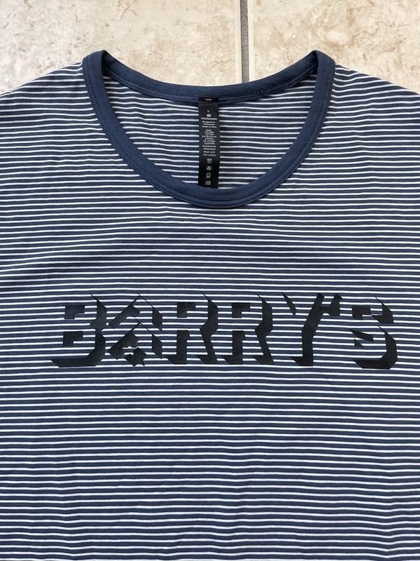 Lululemon 5 Year Basic Tee Men’s Short Sleeve Blue Large Stripe Barry's T-Shirt gallery