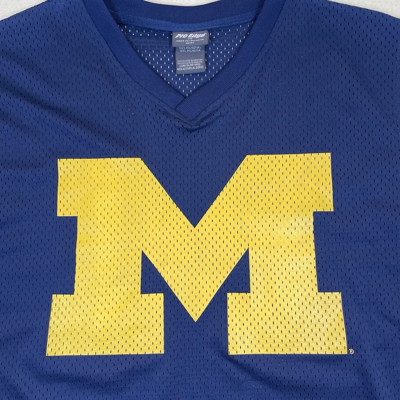 Vintage University Michigan Sleeveless Jersey Tank Top Men Large Blue Maize Y2K gallery