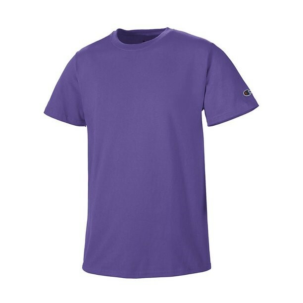 Champion T425 Adult Short Sleeve T-Shirt NEW!! gallery