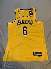 DN2009-728 NIKE NBA LOS ANGELES LAKERS ICON EDITION LEBRON JAMES 2022/23 Mens L