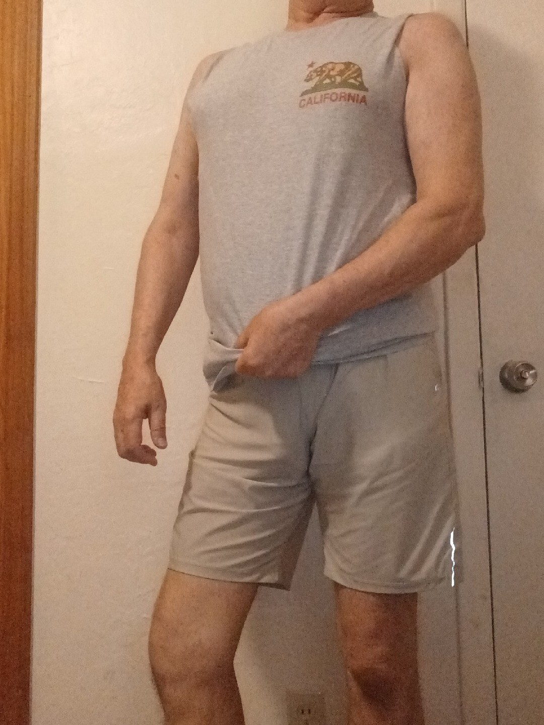 California State Bear Tank Top Sleeveless Shirt Large Gray NWT gallery