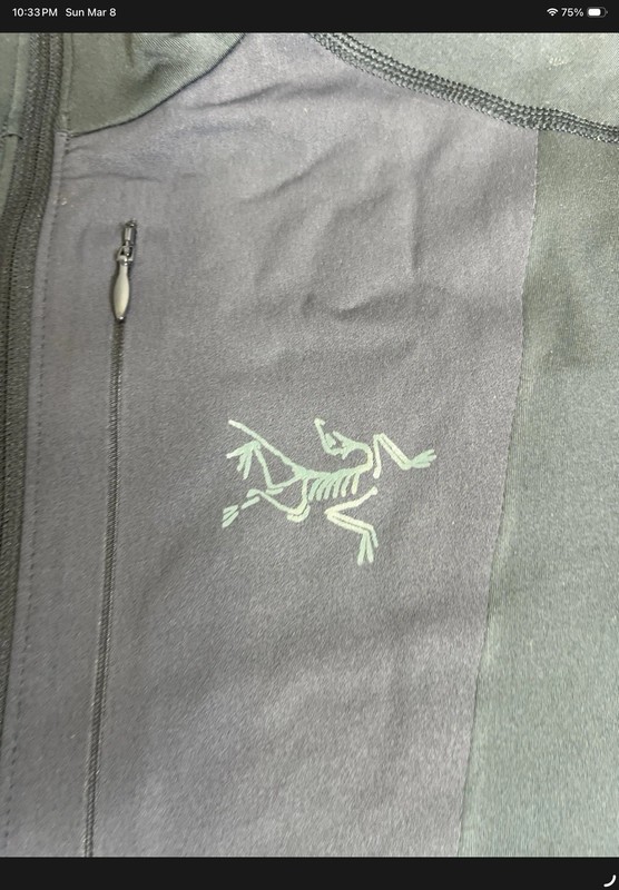 Arc'teryx Rho LT Zip-Neck Base Layer Top - Men's Large gallery