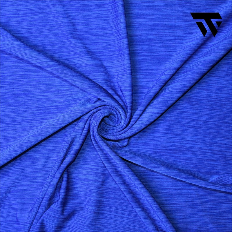 Men’s Royal Blue Gym T-Shirt Athletic Performance Workout Moisture Wicking Tee gallery