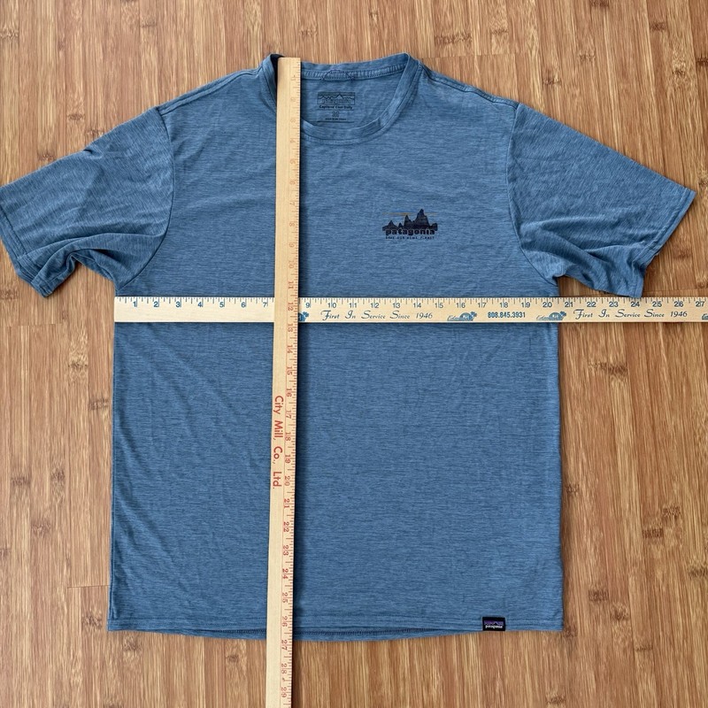 Patagonia Capilene Cool Daily T Shirt Men Medium Heather Blue Logo Graphic EUC gallery