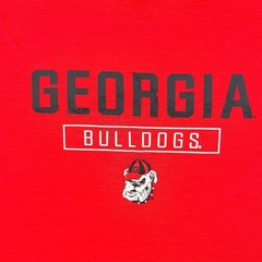Russell Athletic Georgia Bulldogs Mens Large Red Performance T-Shirt NCAA UGA