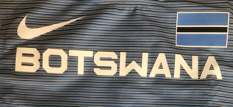 Nike Pro Elite Team Botswana Dri-Fit Running Track Top CI6295-412 Size S RARE gallery