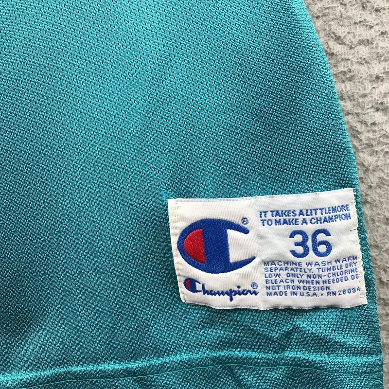 90s Vintage Charlotte Hornets Larry Johnson Jersey size 36 gallery