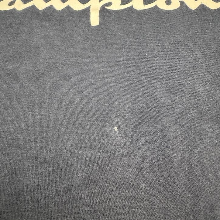 Champion Graphic Long Sleeve T-Shirt Mens Medium Navy Blue Crew Neck Cotton Tee gallery