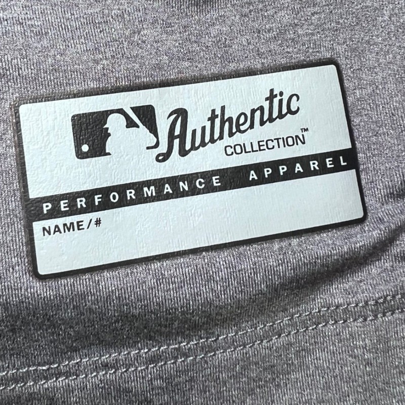 Nike Pro MLB Authentic Collection Mens Medium Top Grey Red Long Sleeve Training gallery