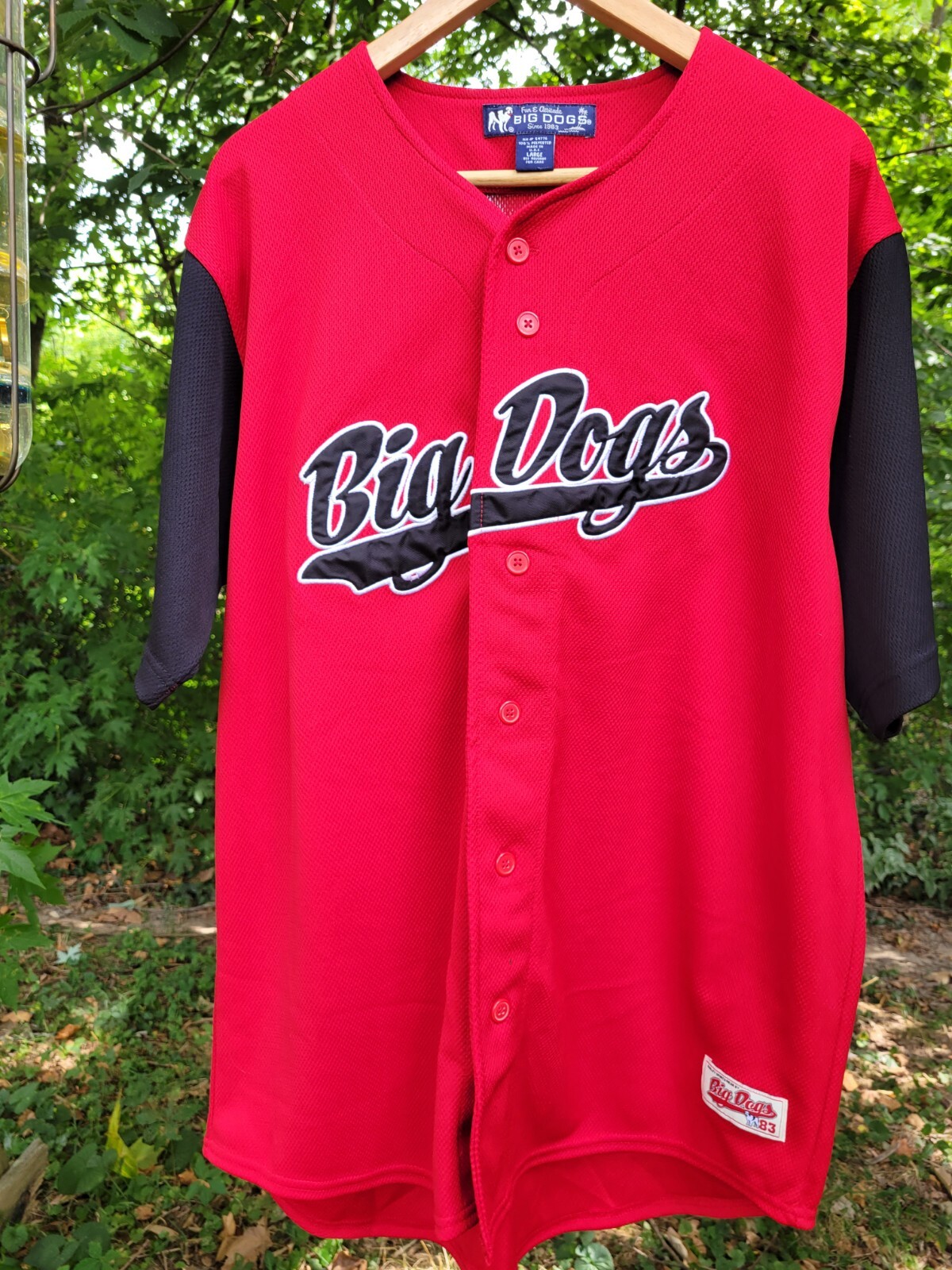 Big Dogs - Vintage Jersey Men’s (L) - Red Button Baseball Short Sleeve Logo- USA gallery