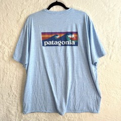 Patagonia Capilene Cool Daily Graphic Shirt Men’s XXL Blue Quick Dry Outdoor