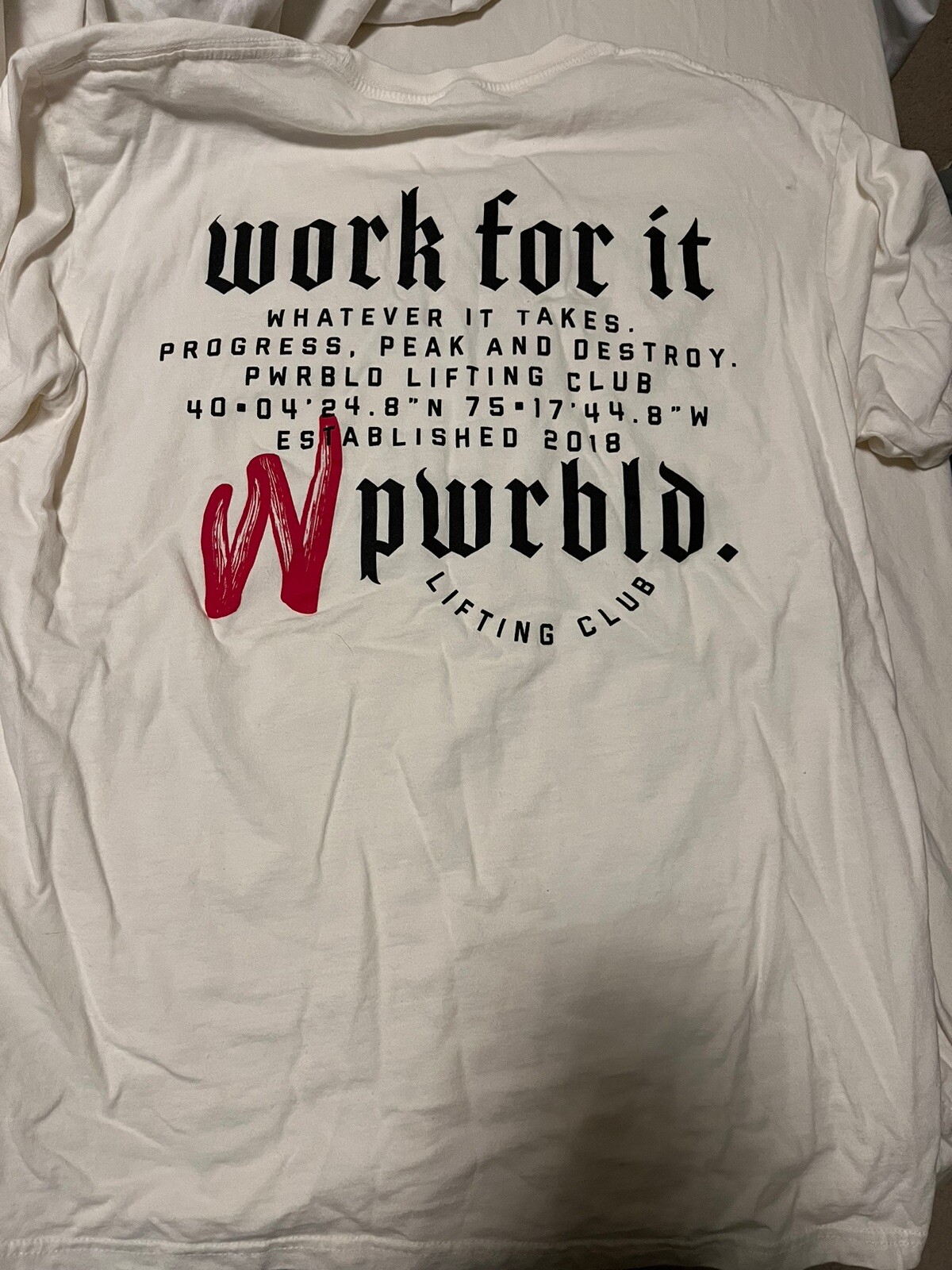 PWRBLD Work For it Gym Lifting Club Large Shirt Powerlifting Bodybuilding SBD gallery