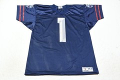 Vintage Buffalo Destroyers Promo Jersey Mens Large Blue Mesh Arena Football