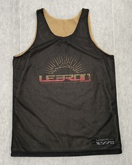 VINTAGE Lebron James Jersey Adult Medium Signature Collection Reversible Mens M
