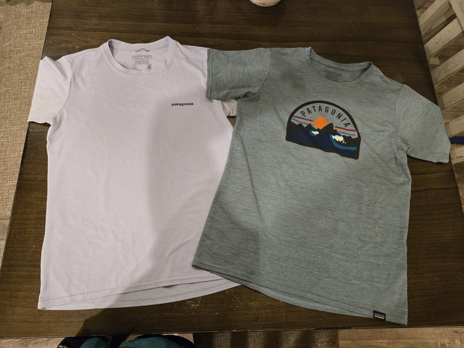 Two Patagonia Capilene Cool Daily Graphic Shirts Size Small gallery