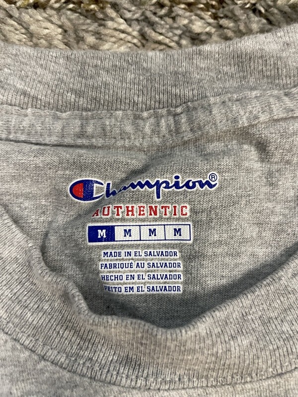 Champion Authentic Men's M Medium Classic Gray Blank T-Shirt Short Sleeve Crew gallery