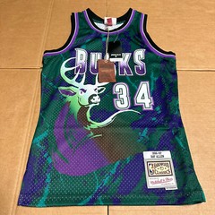 MITCHELL & NESS TEAM MARBLE SWINGMAN JERSEY MILWAUKEE BUCKS 1996 RAY ALLEN Small