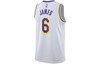 Nike NBA Training Tank Top Fan Edition 20 - LA Lakers James No. 6 gallery