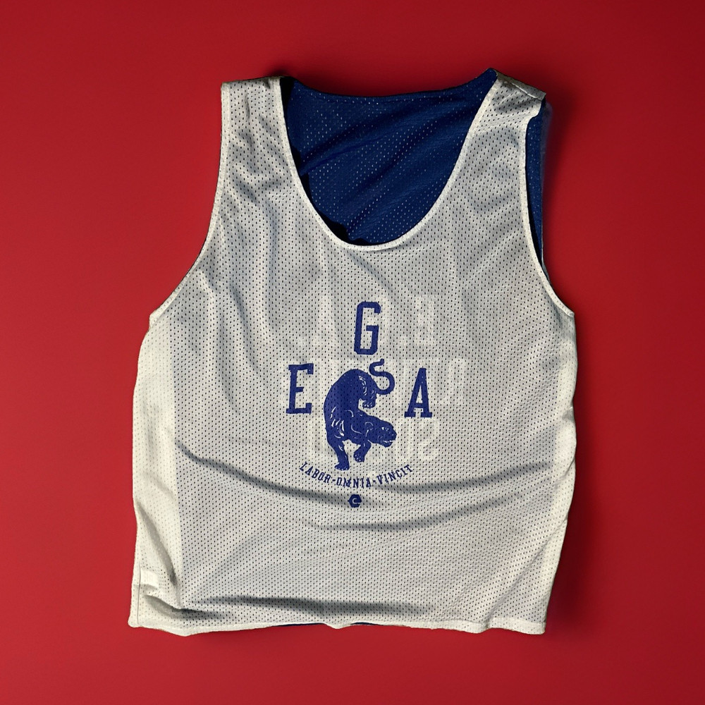 E.G.A. Revenge Squad Men’s Reversible Mesh Basketball Jersey Tank Blue/White L