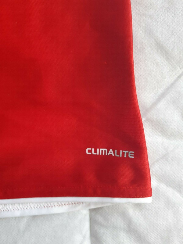 Euro 2012 Adidas Mens FAN Shirt Red Size L Jersey Football / Soccer Sport Kit gallery