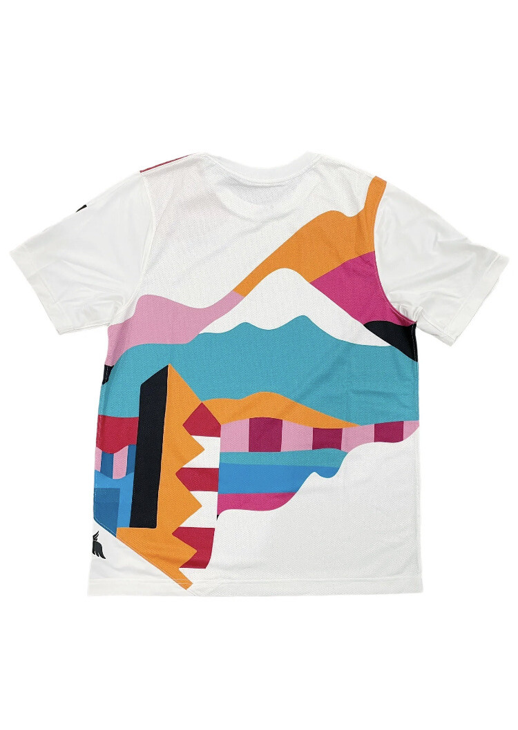 Rare Nike SB Parra 🇯🇵 Japan 🇯🇵 Federation Kit Jersey, Size XXS CT6050-100 gallery