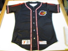 ROCHESTER RED WINGS YMCA VOLUNTEER OF THE YEAR 2015 GAME WORN WILSON JERSEY MED