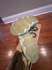 Adidas Yeezy 450 Resin Size 12 gallery