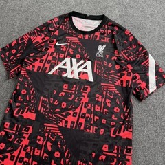 2020-21 Nike Champions League Liverpool Pre-Match Jersey LG