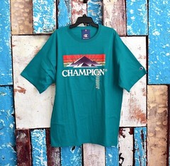 Men’s Champion Mountain Graphic T-Shirt Midweight 2XLARGE Jungle Mint NEW