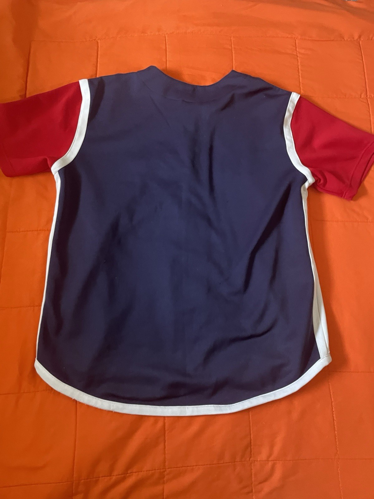 Vintage Boston Red Sox Jersey Mens Large MLB True Fan Button Up Blue Red gallery