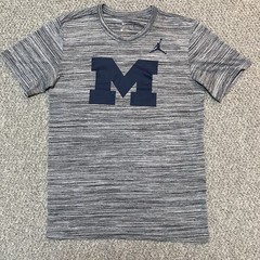 University of Michigan Air Jordan Nike Dri Fit T Shirt Men’s Size Small Gray