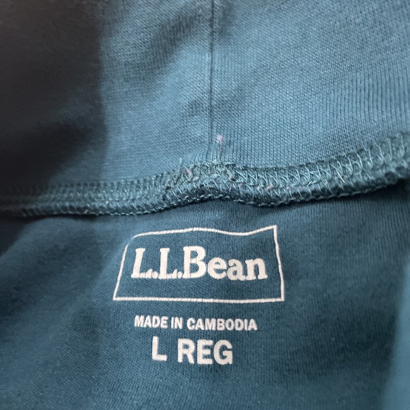 LL Bean Turtleneck Shirt Men L Reg Blue Green Hiking Outdoor Cotton L-Reg 187369 gallery