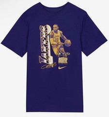NEW Nike Los Angeles Lakers Lebron MVP LA Kobe Mamba Shirt RARE Size Large XL
