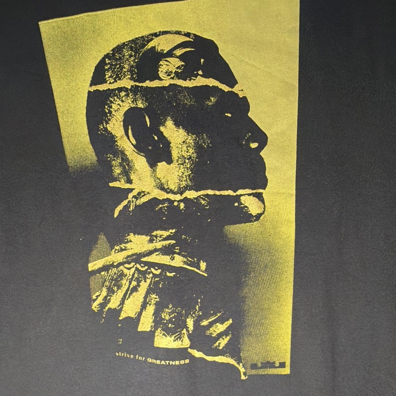 Nike Dri-FIT Men's M Black/Gold Athletic Fit Polyester LeBron Graphic Tee gallery