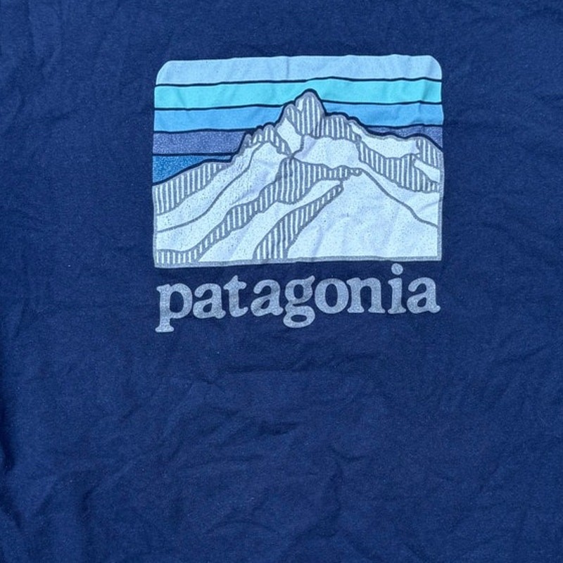 Patagonia Line Logo Ridge Stripe Organic Pocket T-Shirt Size Small Navy Blue gallery