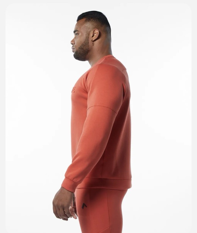 Alphalete ELMTS Long Sleeve Pullover - Orange , Size XL gallery