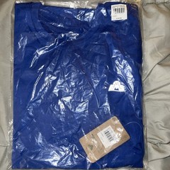 Men’s Essential Peak Eastern Mountain Sports Shirt