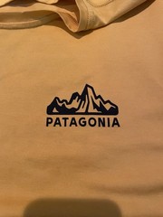 Patagonia Capilene Baselayer Men’s L Yellow Crew Neck Short Sleeve Recycled Poly