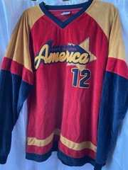 Vintage Delf Sports Collection America #12 Size Large Jersey Style See Pics/wear