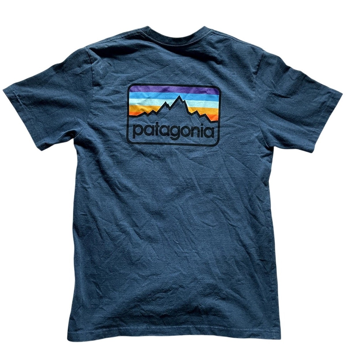 Patagonia Line Logo Badge Responibili-Tee Short Sleeve Shirt Size M Blue gallery