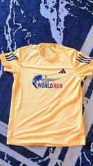 adidas Wings for Life World Run Men’s S Orange Lightweight Polyester Tee