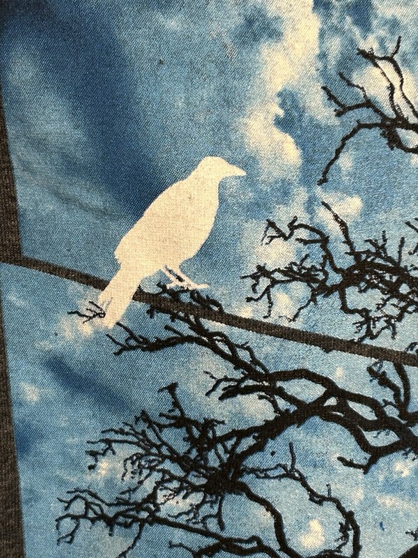 Tony Hawk Skateboarding Nature T Shirt Men XL Gray Short Sleeve Birds Trees gallery