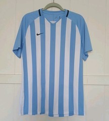 Nike Jersey Soccer Futbol Men’s Large V-Neck Argentina Blue White Stripe 894096