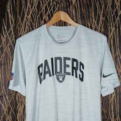 Nike Raiders T-Shirt Mens Large Grey Dri-FIT NFL Onfield Apparel NS19-10A